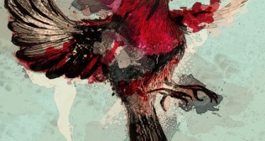 Designing Fever Design