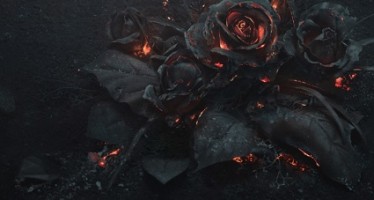 Designing Fever Design