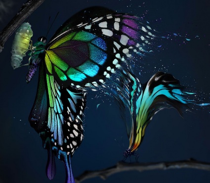 Designing Fever Design