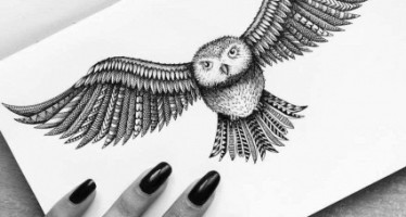 Designing Fever Design