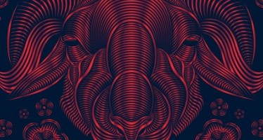 Designing Fever Design