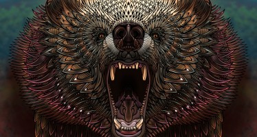 Designing Fever Design