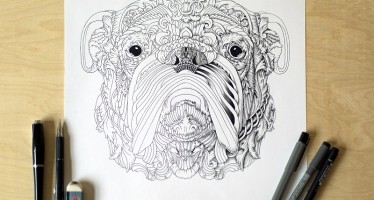Designing Fever Design