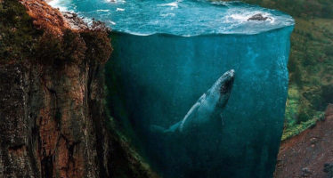 Daily Creative Inspiration