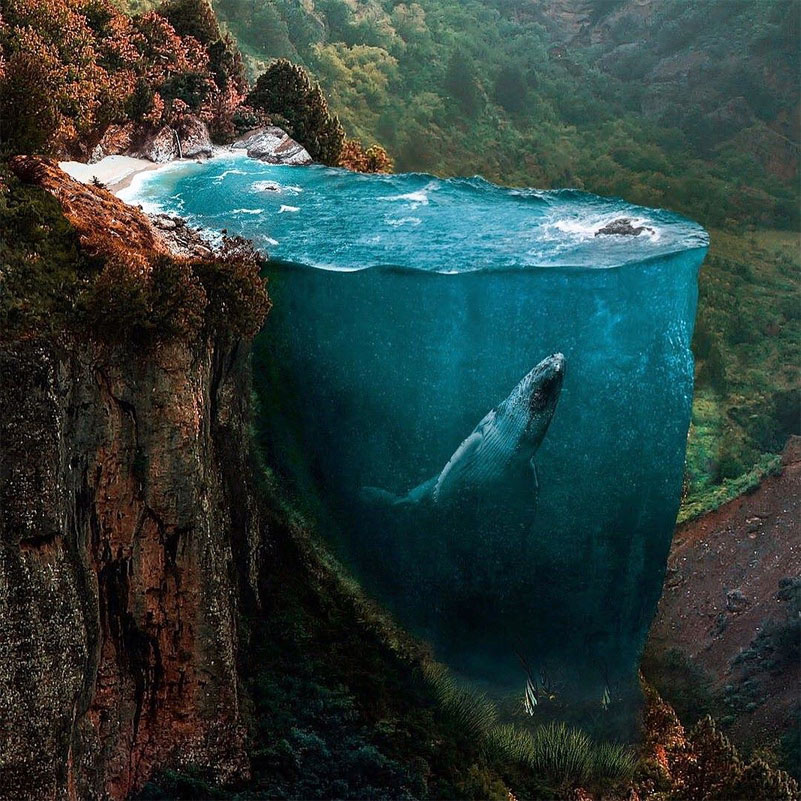 Daily Creative Inspiration