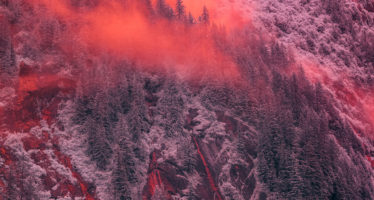 Daily Creative Inspiration