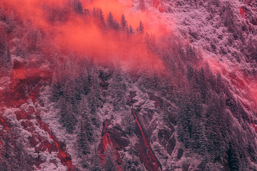 Daily Creative Inspiration