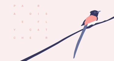 Motion Design