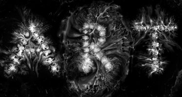 Liquid-Calligraphy