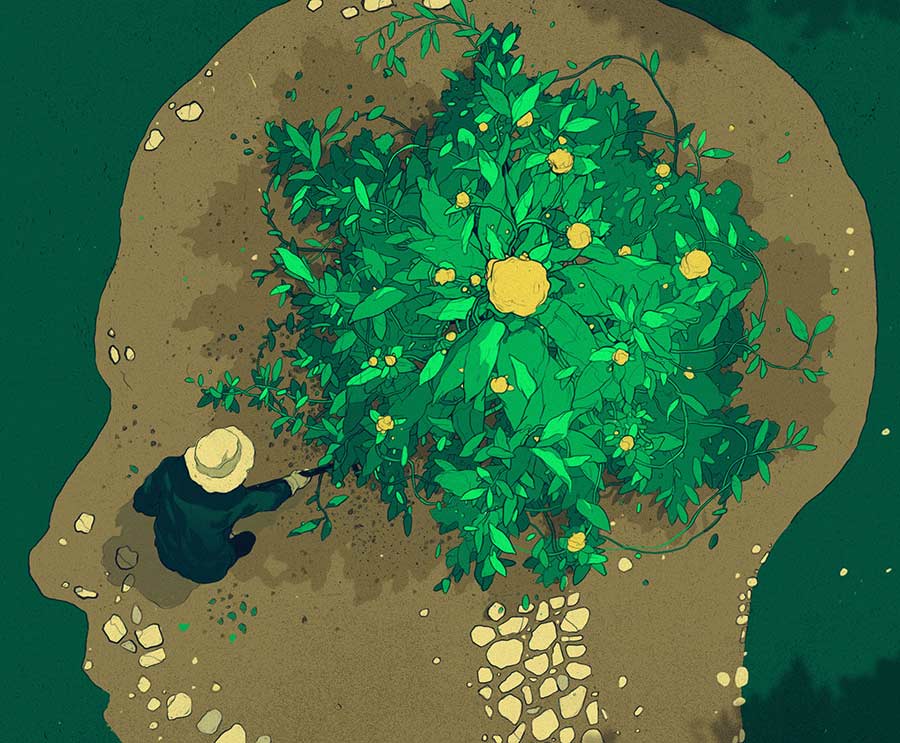 Illustrations