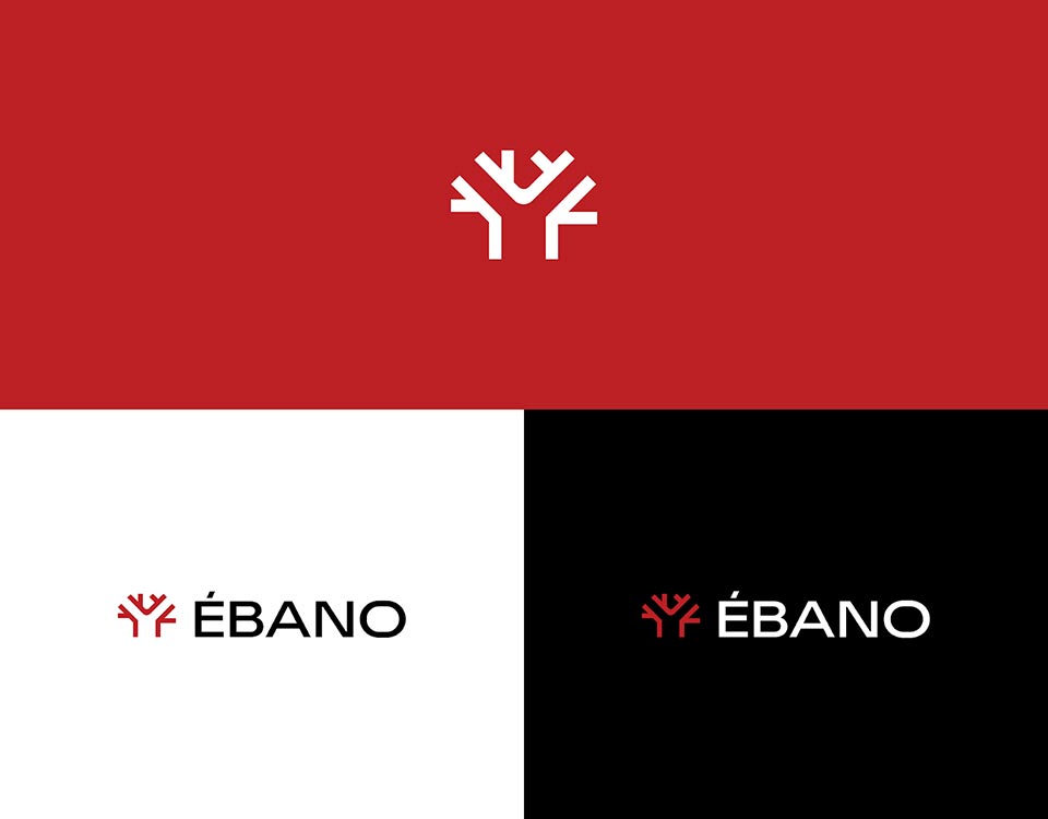 Branding and visual identity
